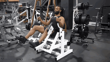 Gluteator臀部训练器