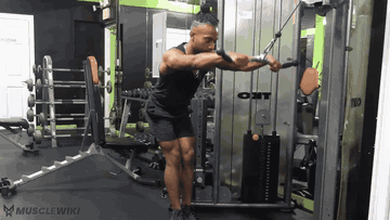 绳索俯身直杠上拉