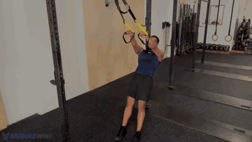 TRX W 字上举