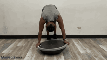 BOSU 球屈体耸肩