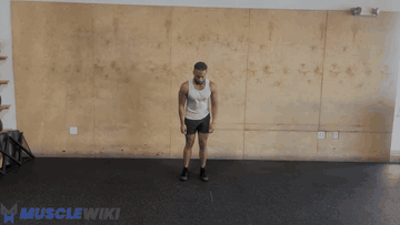 波比跳