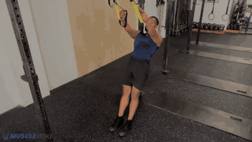 TRX 后束飞鸟