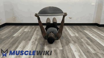 BOSU 球上拉