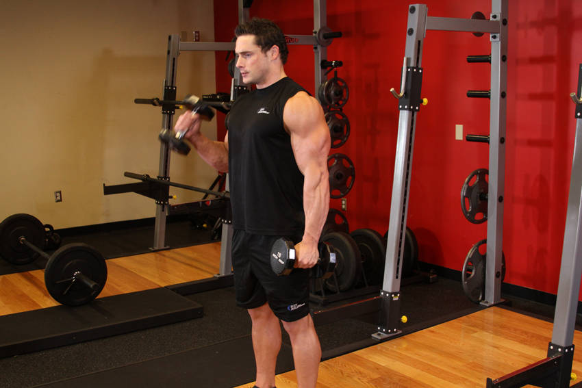 交替哑铃锤式弯举