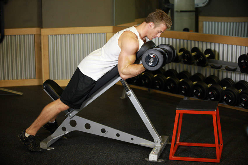 哑铃俯卧上斜弯举