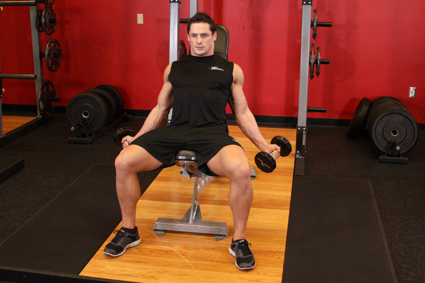 斜板内侧二头肌弯举