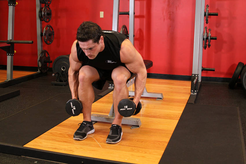 坐姿俯身后肩侧平举