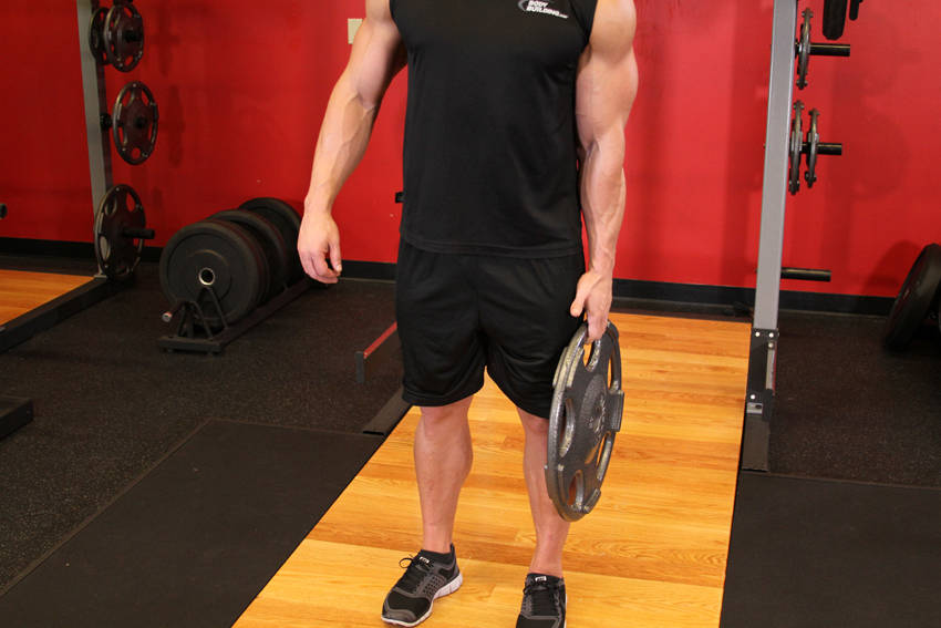 站姿奥林匹克杠铃片手握挤压