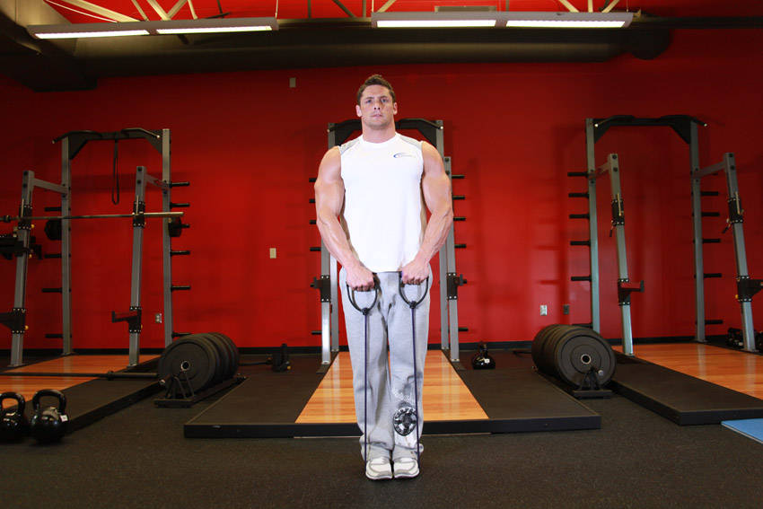 阻力带直立划船